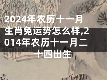 2024年农历十一月生肖兔运势怎么样,2014年农历十一月二十四出生