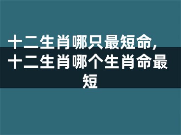 十二生肖哪只最短命,十二生肖哪个生肖命最短