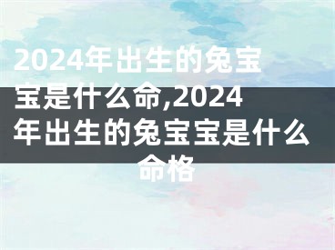 2024年出生的兔宝宝是什么命,2024年出生的兔宝宝是什么命格