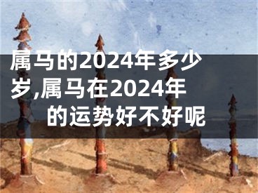 属马的2024年多少岁,属马在2024年的运势好不好呢