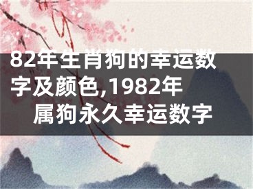 82年生肖狗的幸运数字及颜色,1982年属狗永久幸运数字