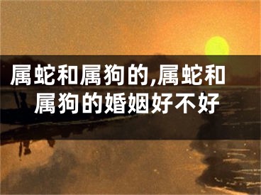 属蛇和属狗的,属蛇和属狗的婚姻好不好