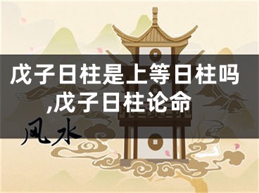 戊子日柱是上等日柱吗,戊子日柱论命