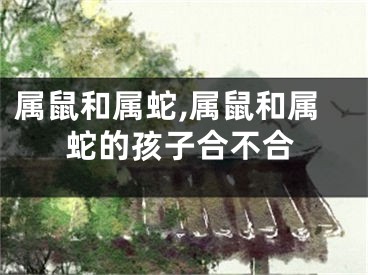 属鼠和属蛇,属鼠和属蛇的孩子合不合