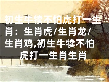 初生牛犊不怕虎打一生肖：生肖虎/生肖龙/生肖鸡,初生牛犊不怕虎打一生肖生肖