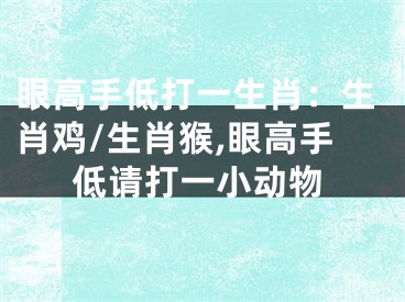 眼高手低打一生肖：生肖鸡/生肖猴,眼高手低请打一小动物