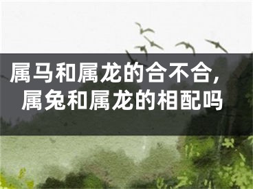 属马和属龙的合不合,属兔和属龙的相配吗
