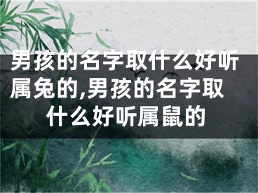 男孩的名字取什么好听属兔的,男孩的名字取什么好听属鼠的