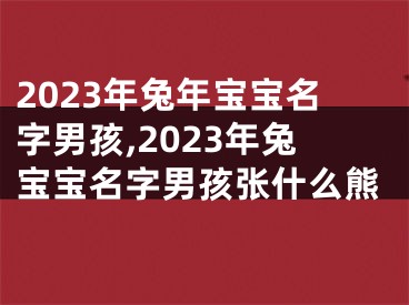 2023年兔年宝宝名字男孩,2023年兔宝宝名字男孩张什么熊