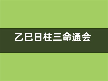 乙巳日柱三命通会