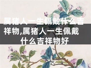 属猪人一生佩戴什么吉祥物,属猪人一生佩戴什么吉祥物好