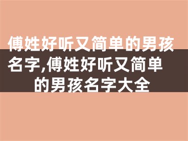 傅姓好听又简单的男孩名字,傅姓好听又简单的男孩名字大全