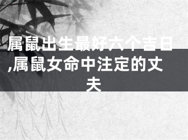 属鼠出生最好六个吉日,属鼠女命中注定的丈夫