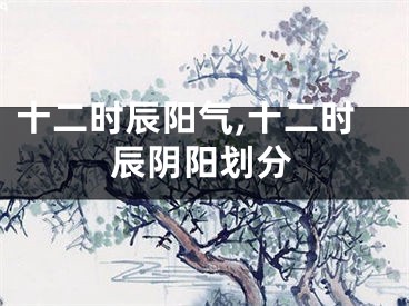 十二时辰阳气,十二时辰阴阳划分