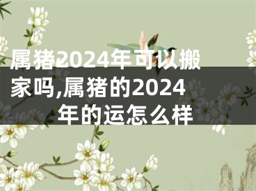 属猪2024年可以搬家吗,属猪的2024年的运怎么样