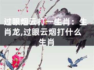 过眼烟云打一生肖：生肖龙,过眼云烟打什么生肖