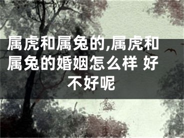 属虎和属兔的,属虎和属兔的婚姻怎么样 好不好呢