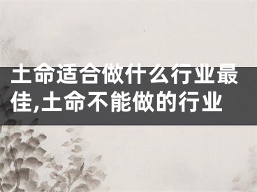 土命适合做什么行业最佳,土命不能做的行业