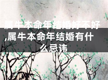 属牛本命年结婚好不好,属牛本命年结婚有什么忌讳