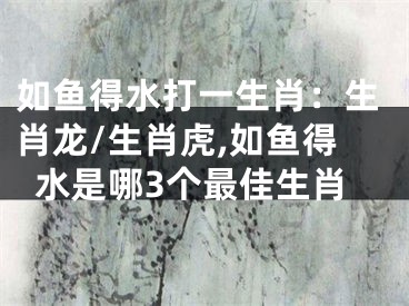 如鱼得水打一生肖：生肖龙/生肖虎,如鱼得水是哪3个最佳生肖