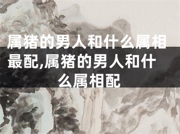 属猪的男人和什么属相最配,属猪的男人和什么属相配
