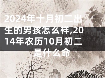 2024年十月初二出生的男孩怎么样,2014年农历10月初二是什么命