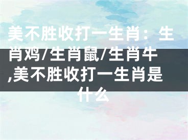 美不胜收打一生肖：生肖鸡/生肖鼠/生肖牛,美不胜收打一生肖是什么