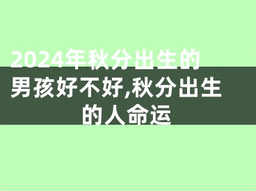 2024年秋分出生的男孩好不好,秋分出生的人命运