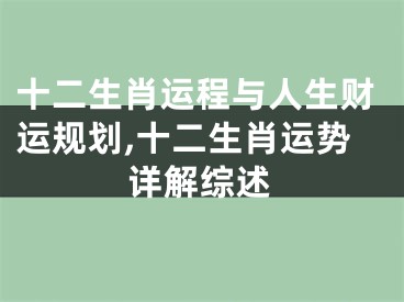 十二生肖运程与人生财运规划,十二生肖运势详解综述