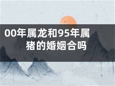 00年属龙和95年属猪的婚姻合吗
