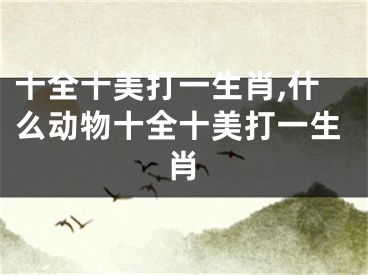 十全十美打一生肖,什么动物十全十美打一生肖
