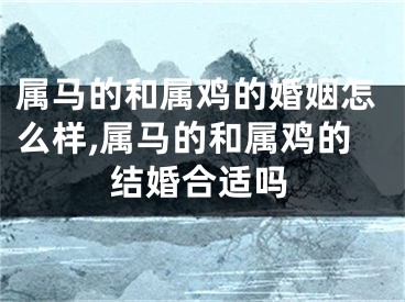 属马的和属鸡的婚姻怎么样,属马的和属鸡的结婚合适吗
