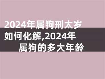 2024年属狗刑太岁如何化解,2024年属狗的多大年龄