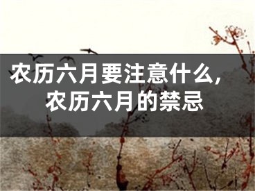 农历六月要注意什么,农历六月的禁忌