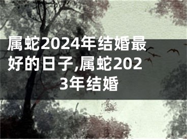 属蛇2024年结婚最好的日子,属蛇2023年结婚