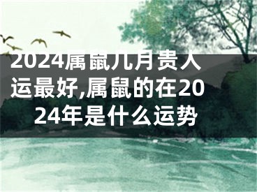 2024属鼠几月贵人运最好,属鼠的在2024年是什么运势