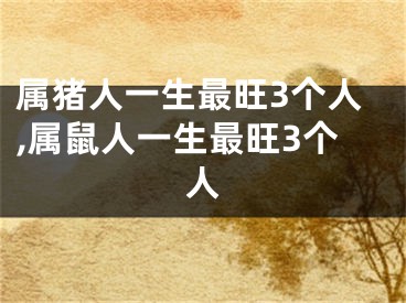 属猪人一生最旺3个人,属鼠人一生最旺3个人