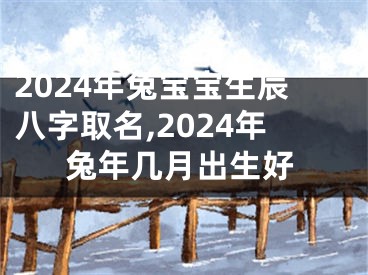 2024年兔宝宝生辰八字取名,2024年兔年几月出生好