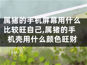 属猪的手机屏幕用什么比较旺自己,属猪的手机壳用什么颜色旺财