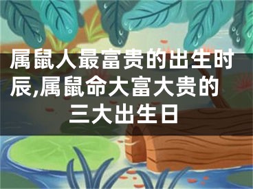 属鼠人最富贵的出生时辰,属鼠命大富大贵的三大出生日