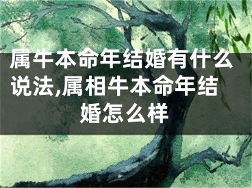 属牛本命年结婚有什么说法,属相牛本命年结婚怎么样
