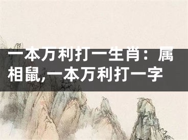一本万利打一生肖：属相鼠,一本万利打一字