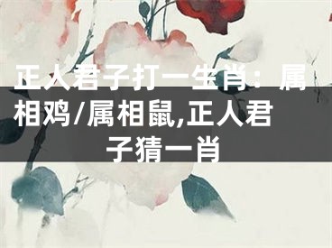 正人君子打一生肖：属相鸡/属相鼠,正人君子猜一肖