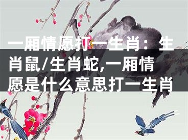一厢情愿打一生肖：生肖鼠/生肖蛇,一厢情愿是什么意思打一生肖
