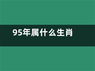 95年属什么生肖