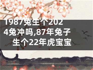 1987兔生个2024兔冲吗,87年兔子生个22年虎宝宝