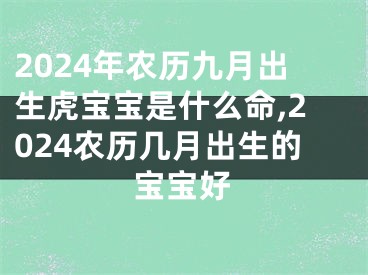 2024年农历九月出生虎宝宝是什么命,2024农历几月出生的宝宝好