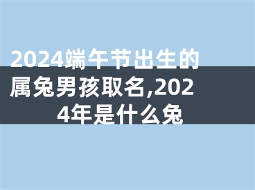 2024端午节出生的属兔男孩取名,2024年是什么兔
