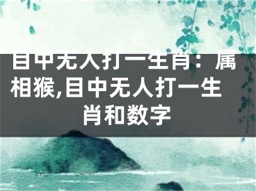 目中无人打一生肖：属相猴,目中无人打一生肖和数字
