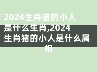 2024生肖猪的小人是什么生肖,2024生肖猪的小人是什么属相